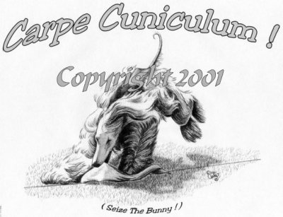 2001course.jpg - 59.19 K