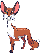 Big_eared_fox.gif - 5.45 K