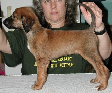BlkMskRedGirl6wks.jpg - 46.03 K
