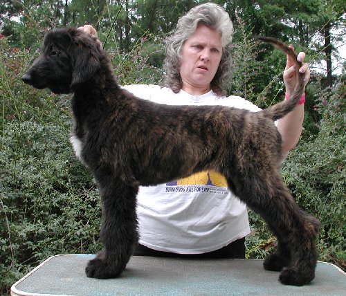 Bonnie15wks.jpg - 83.55 K