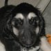 Cash's Page