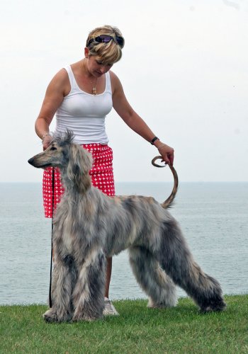 Josie&Teri.jpg - 35.52 K