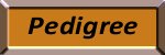 OrangeFramePed.jpg - 57 K