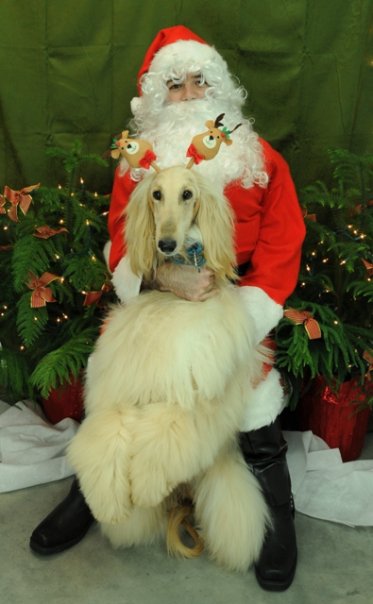 TrumpSanta09.jpg - 41.10 K