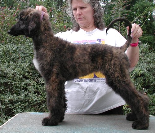 Twinkle15wks.jpg - 76.03 K