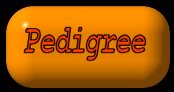 orangebutPed.jpg - 5.03 K
